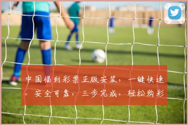 中国福利彩票正版安装，一键快速，安全可靠，三步完成，轻松购彩，体验非凡