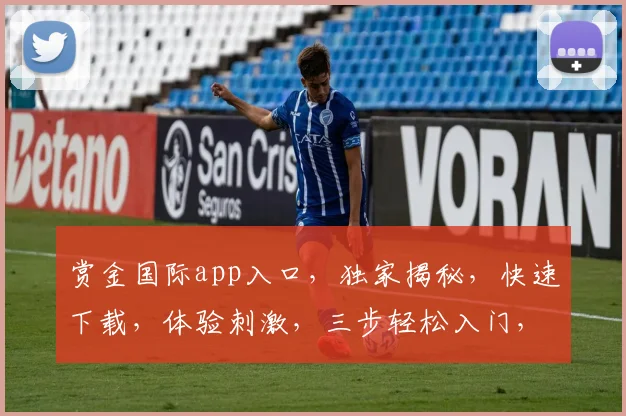 赏金国际app入口，独家揭秘，快速下载，体验刺激，三步轻松入门，不容错过