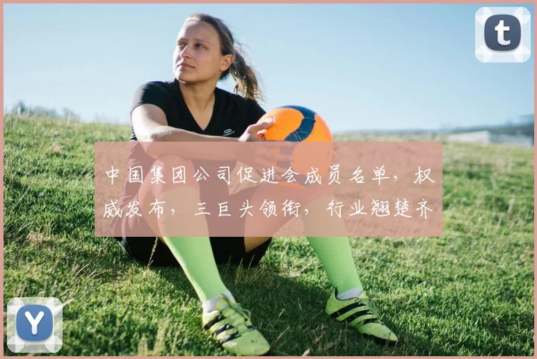 中国集团公司促进会成员名单，权威发布，三巨头领衔，行业翘楚齐聚，一网打尽