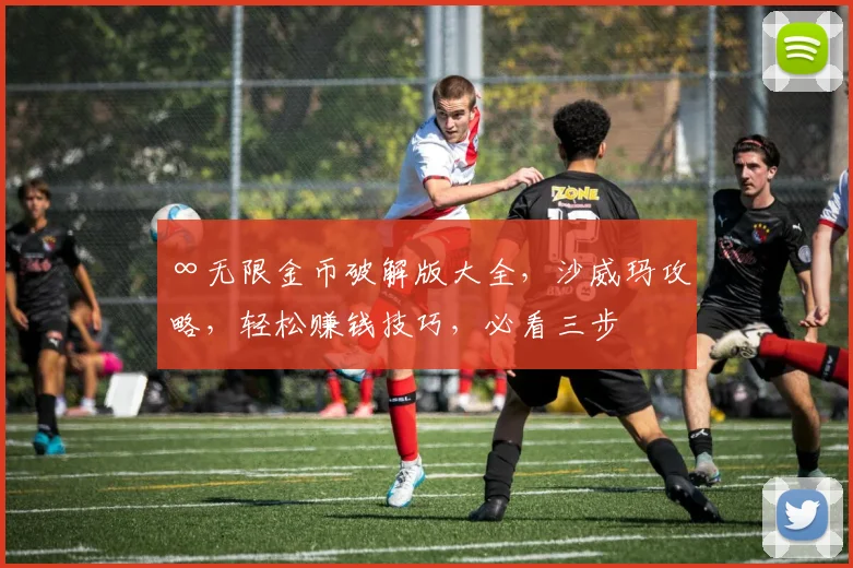 ∞无限金币破解版大全，沙威玛攻略，轻松赚钱技巧，必看三步